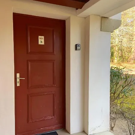 A Loué Domaine De Gasgogne A Biscarrosse